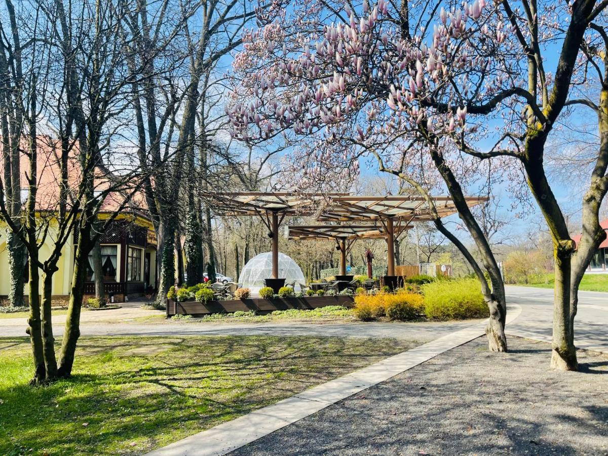 Villa Hotel Debreczyn Zewnętrze zdjęcie