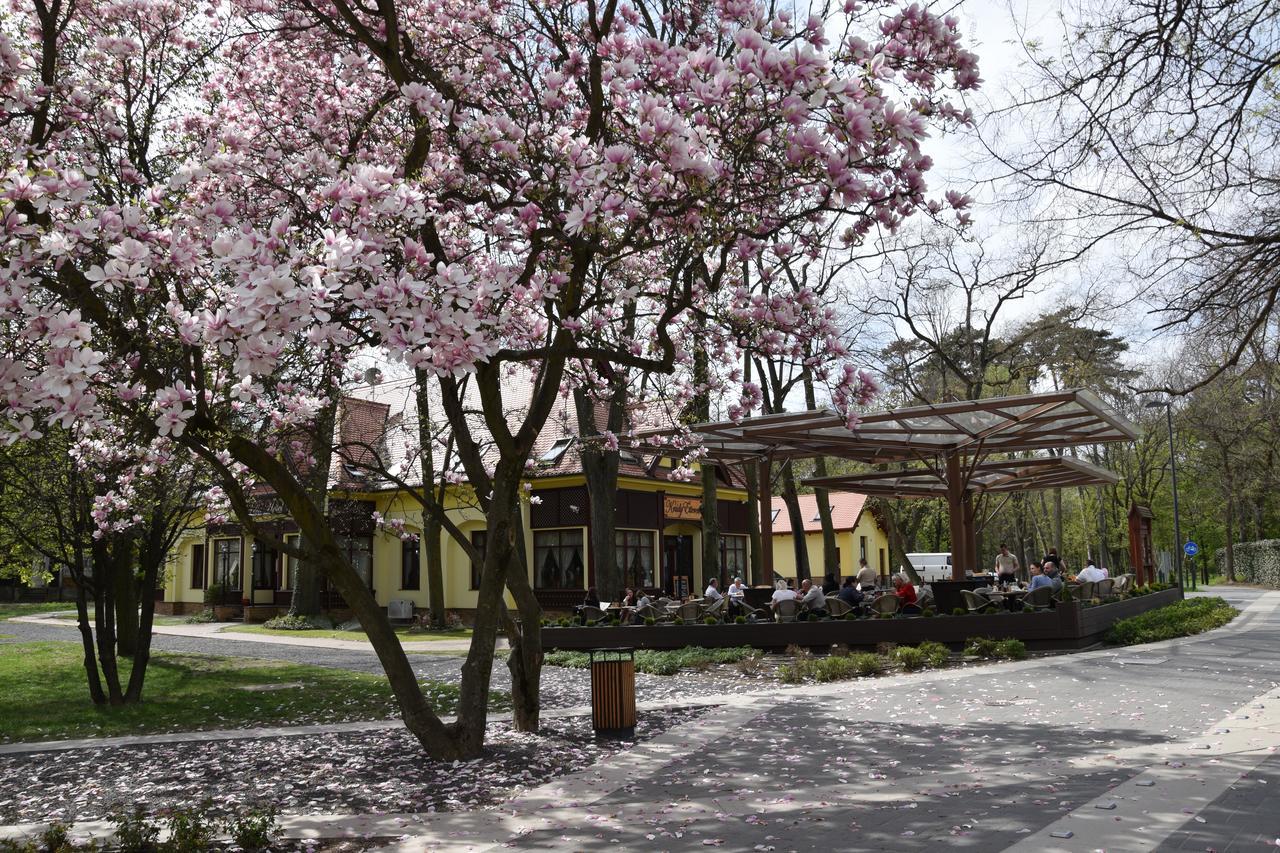 Villa Hotel Debreczyn Zewnętrze zdjęcie